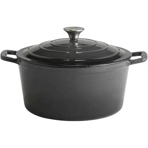 Die 7 besten ofenfesten Kochtöpfe, die das Kochen und Braten erleichtern 2 APS Gusseiserner Topf mit Deckel 28 cm