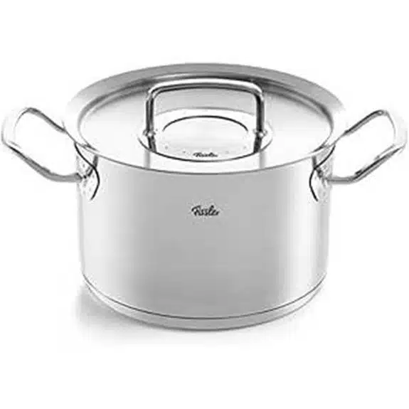 5 Beste Kochtöpfe ohne Beschichtung, die Profi-Köche Wählen 2 Fissler Profi Edelstahl-Kochtopf 20 cm/4 l