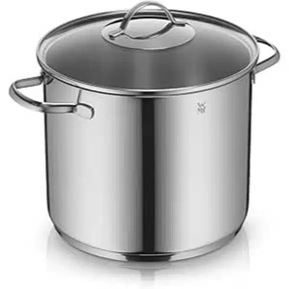 Die 10 besten Suppentöpfe, die das Abendessen unter der Woche zu einem Genuss machen 10 WMF 24 cm Provence Plus Suppentopf 8,8 l