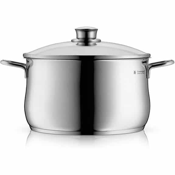 Die 7 besten Fleischtöpfe, die jeden Hobbykoch zum Profi machen 4 WMF Diadem Plus Edelstahl-Kasserolle mit Deckel, 20 cm