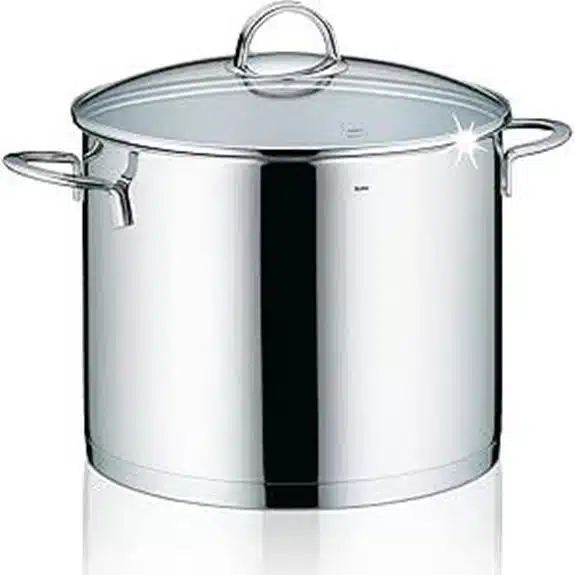 Die 10 besten Großkochtöpfe, die Abendessen unter der Woche zu Festessen machen 9 Kela CAILIN 24 cm 8,5 l Edelstahl-Kochtopf