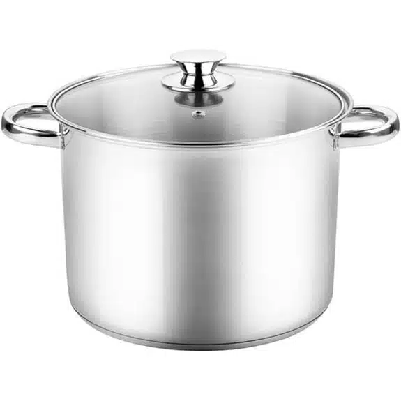 Die 15 besten Kochtöpfe aus Edelstahl 18/10, die jedes Essen zu einem Meisterwerk machen 10 VIER 20 cm Edelstahl-Topf, gerade (6,3 l)