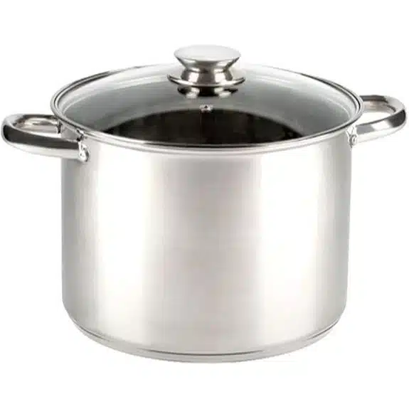 5 Best Kochtöpfe für Eintöpfe, Die Jede Küche Braucht 4 VIER - Kochtopf 20 cm 18/10 Edelstahl