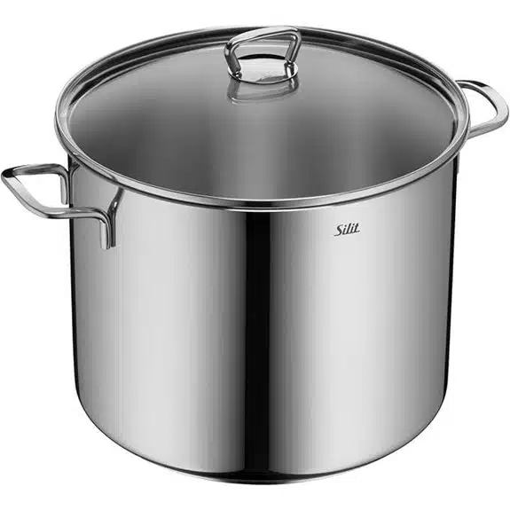 5 Best Kochtöpfe mit Schütträndern, die das Ausgießen erleichtern 5 Silit Suppentopf 28 cm 12 l rostfreier Edelstahl 18/10