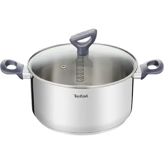 7 Best Kochtöpfe Gasherd Geeignet, die jede Küche aufwerten 5 Tefal Daily Cook Kochtopf Edelstahl