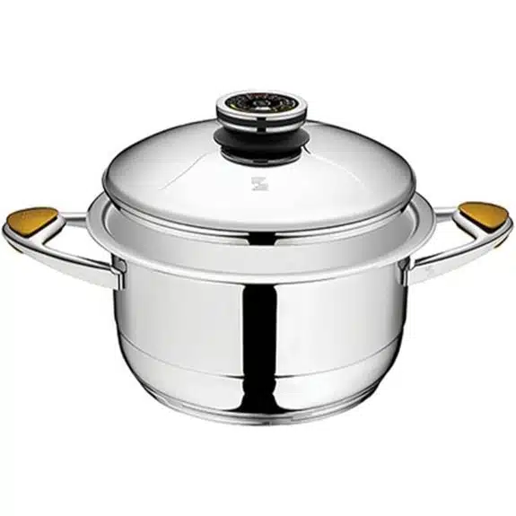 7 Best Kochtöpfe für Kartoffeln, die jede Küche braucht 6 Zepter TOPF 5,5 LT 24 CM TC