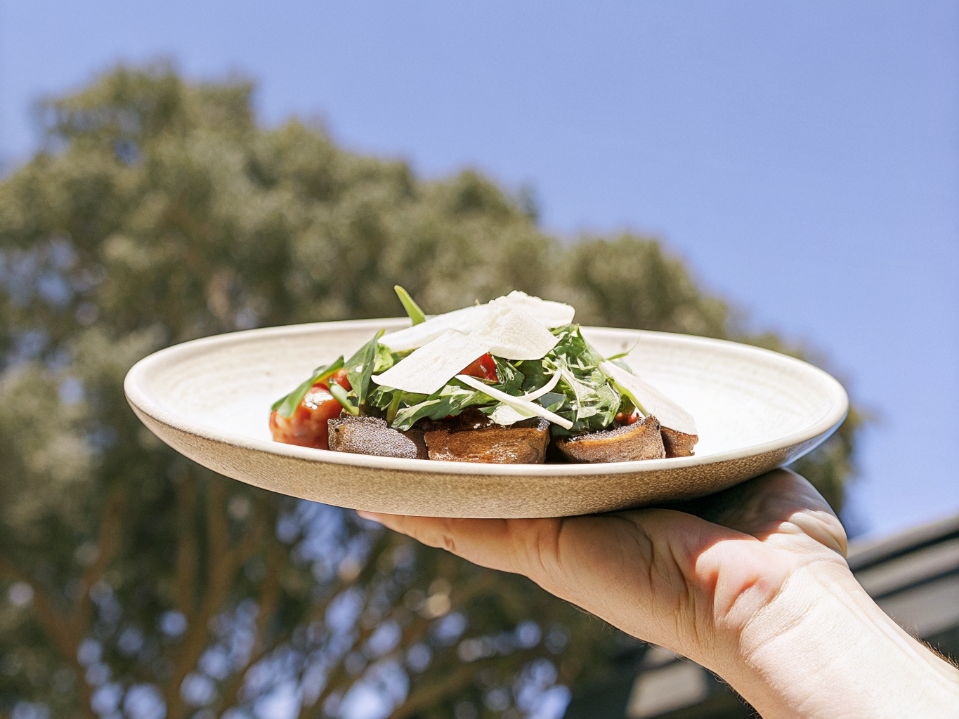Steak-Bites aus der Heißluftfritteuse mit Knoblauch-Butter 1 Steak-Bites mit Knoblauch-Petersilien-Butter und Rucola-Tomaten-Salat auf einem Teller